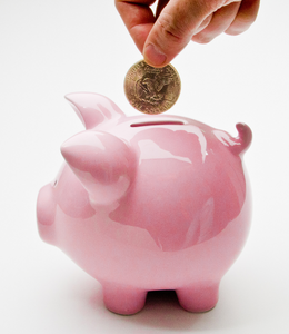 piggy bank budget